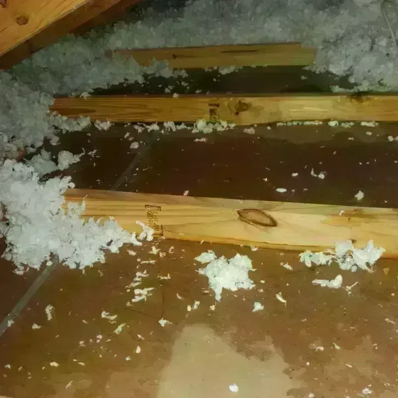 Attic Water Damage in Winton, CA